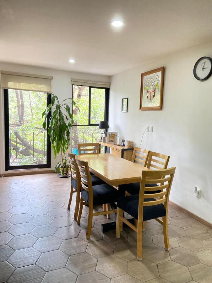 Apartment With Terrace Down Town Mexico City Luaran gambar